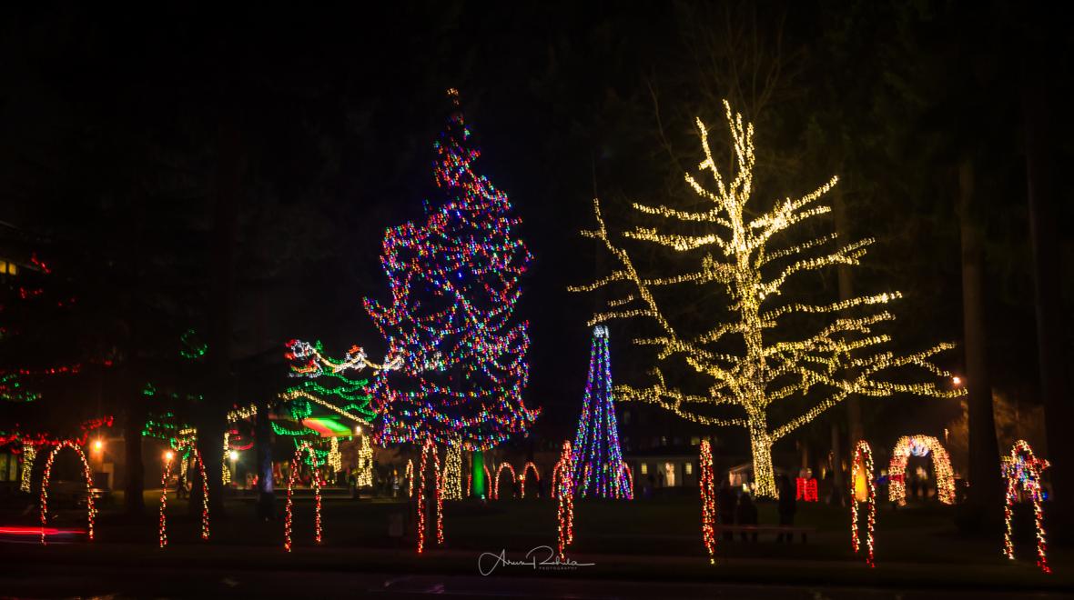 Lacey Lighted Parade & Tree Lighting Seattle Area Family Fun Calendar